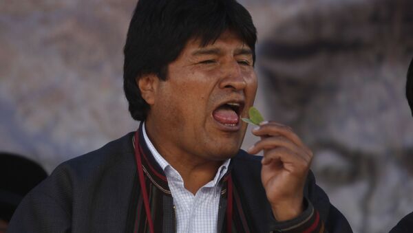 Evo Morales, expresidente de Bolivia, con una hoja de coca (archivo) - Sputnik Mundo