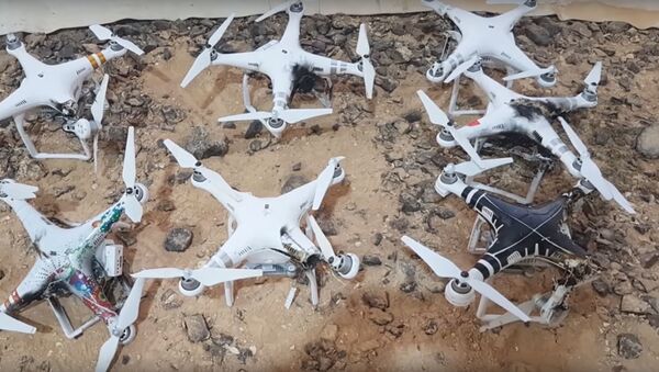 Drones derribados por Drone Dome - Sputnik Mundo