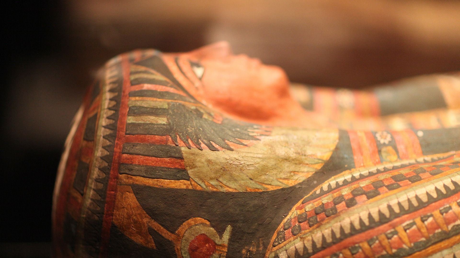 Un sarcófago de una momia egipcia - Sputnik Mundo, 1920, 02.02.2021