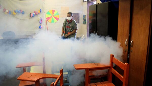 La epidemia de dengue en Paraguay - Sputnik Mundo