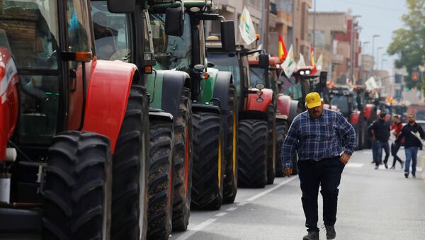 Agricultor en la huelga en Murcia - Sputnik Mundo