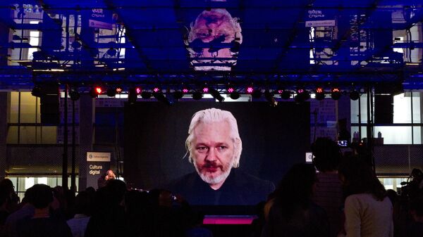 Julian Assange durante una vídeoconferencia - Sputnik Mundo