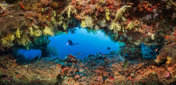 El concurso de fotografía submarina Underwater Photographer of the Year 2020, en imágenes
El concurso de fotografía submarina Underwater Photographer of the Year 2020, en imágenes
- Sputnik Mundo