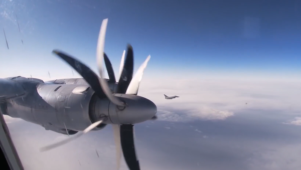 Los Tu-142 rusos surcan los cielos del Atlántico y del Ártico - Sputnik Mundo
