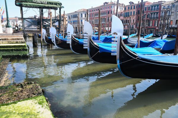 Cómo se han limpiado los canales de Venecia por el coronavirus

 - Sputnik Mundo