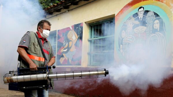 Lucha contra el brote de dengue en Paraguay - Sputnik Mundo
