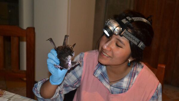 Raquel Galeón, la investigadora boliviana, experta en murciélagos - Sputnik Mundo