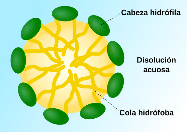 Qué jabón es mejor para prevenir el COVID-19 Qué jabón es mejor para prevenir el COVID-19 - Sputnik Mundo