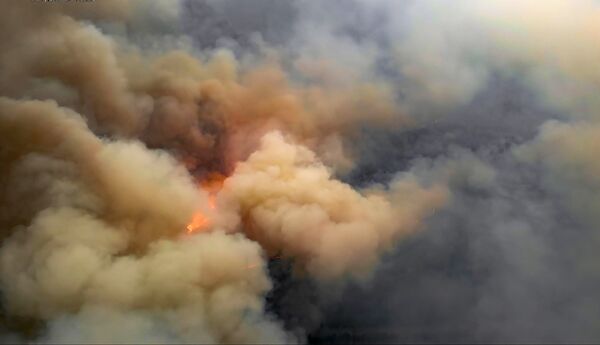 Лесной пожар в Чернобыльской зоне - Sputnik Mundo