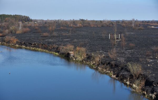 Выжженная в результате пожара территория в Чернобыльской зоне  - Sputnik Mundo