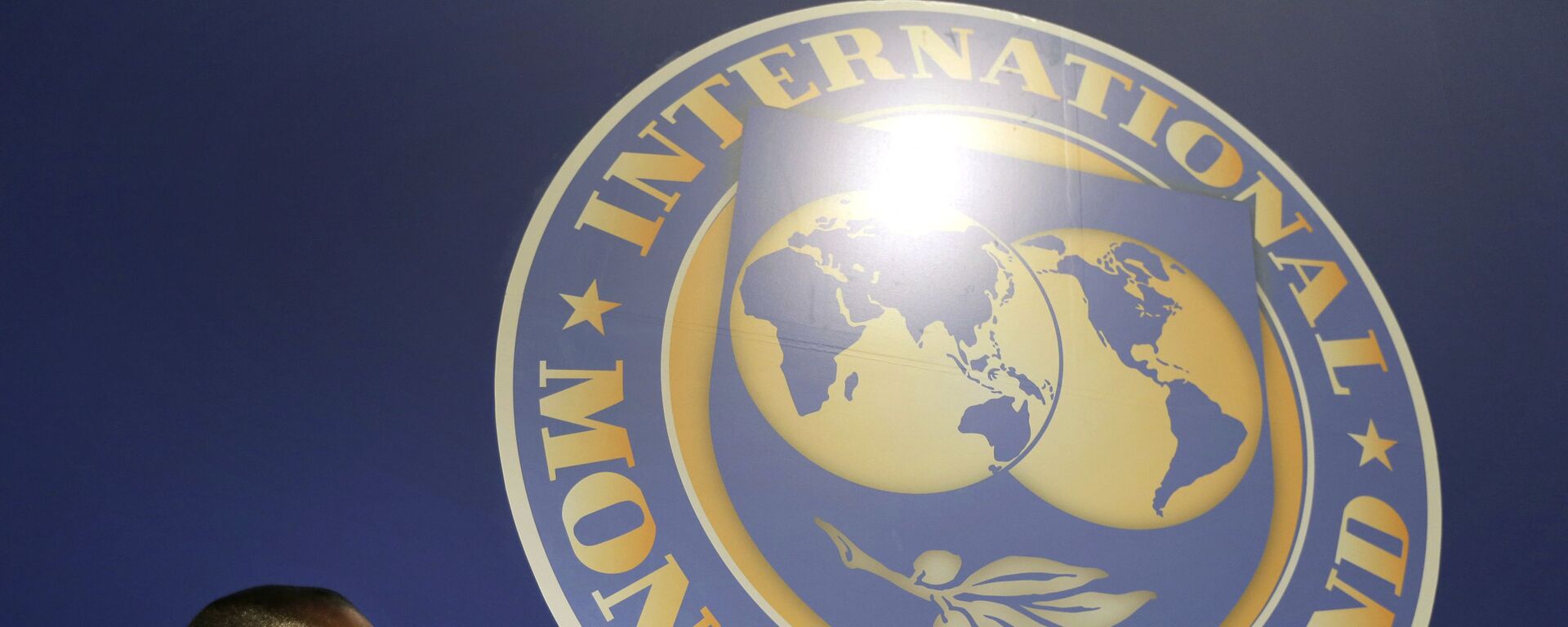El logo del Fondo Monetario Internacional (FMI) - Sputnik Mundo, 1920, 03.08.2021