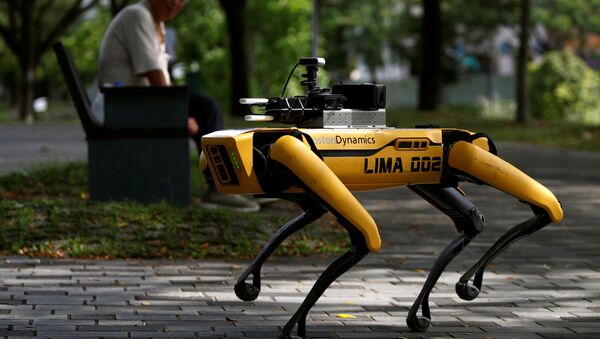 El perro robótico Spot patrulla un parque de Singapur - Sputnik Mundo