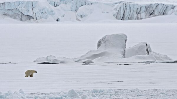 Un oso polar en un témpano de hielo en el Océano Ártico - Sputnik Mundo