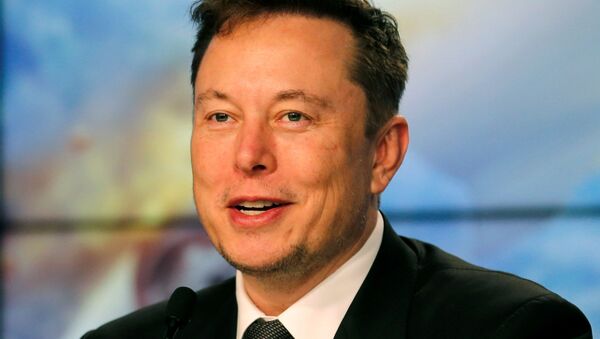 Elon Musk, director de Tesla - Sputnik Mundo