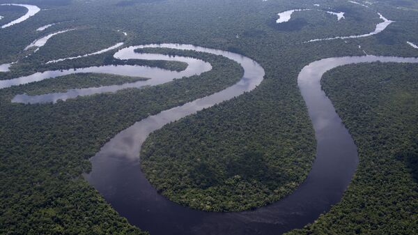Selva amazónica de Perú cerca de la ciudad de Iquitos - Sputnik Mundo