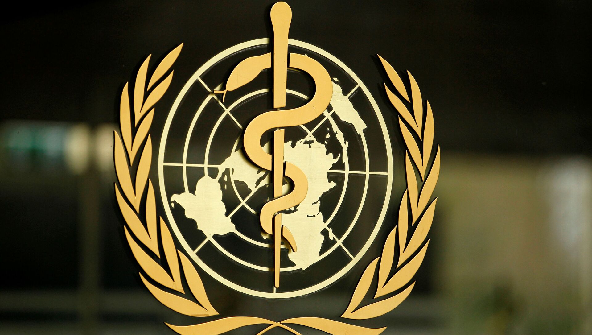 logotipo de la organización mundial de la salud png