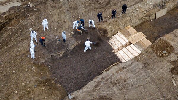 Excavación de fosas comunes en la isla de Hart, Nueva York, para los enfermos de coronavirus - Sputnik Mundo
