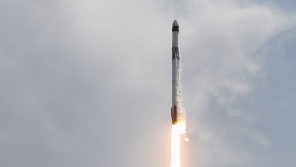 El cohete-portador Falcon 9  - Sputnik Mundo