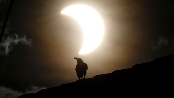 El raro eclipse solar anular, visto desde diferentes partes del mundo 

 - Sputnik Mundo