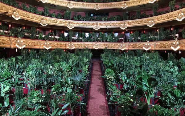 Plantas en el Concierto para el bioceno en el Gran Teatre del Liceu de Barcelona - Sputnik Mundo