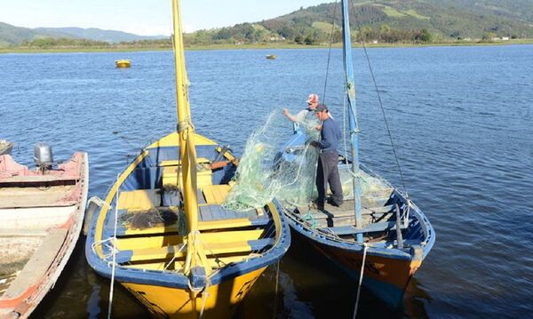 Una actividad esencial para Chile agoniza ante la crisis de COVID-19 Una actividad esencial para Chile agoniza ante la crisis de COVID-19 - Sputnik Mundo