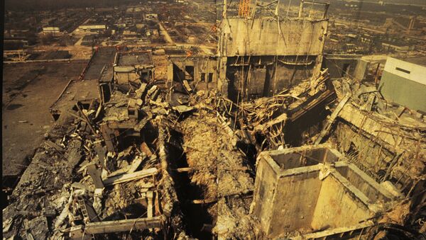 La zona muerta de Chernóbil tiene indicios de que allí hay vida  - Sputnik Mundo