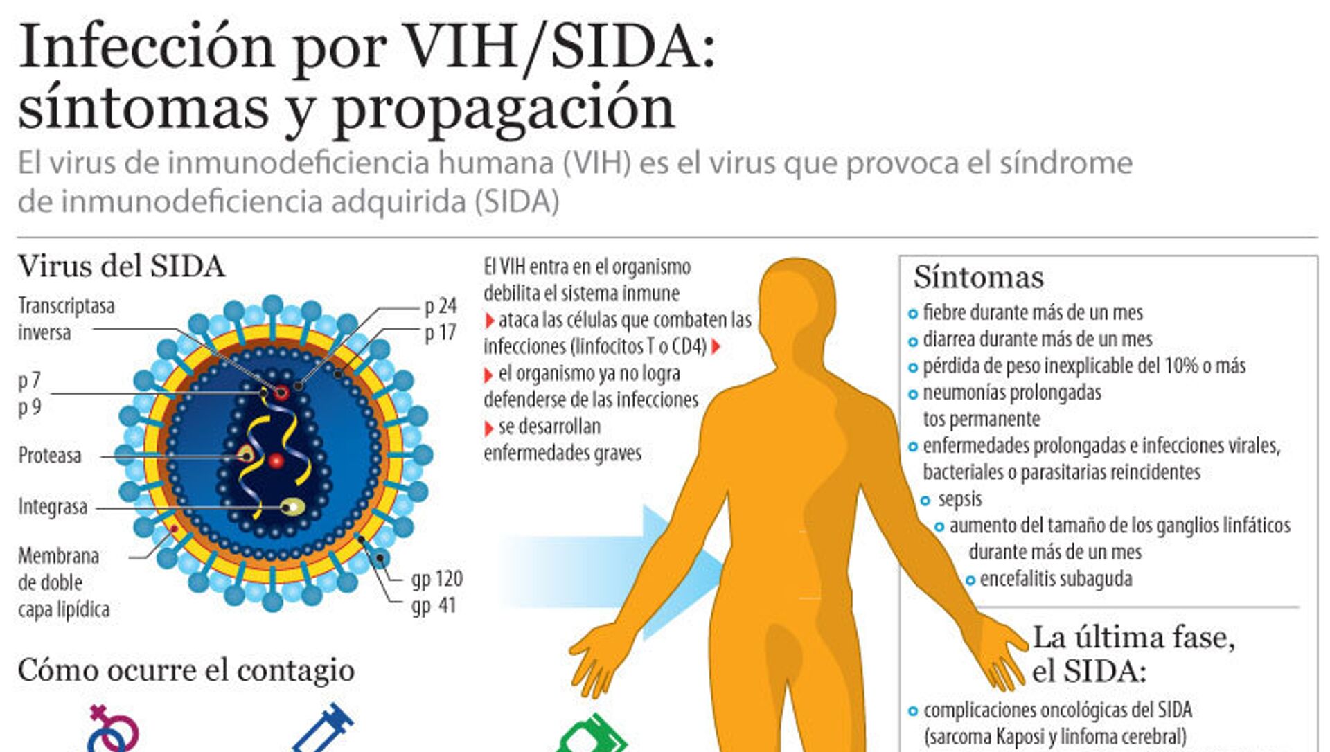 Вирус иммунодефицита поражает в первую очередь. ВИЧ инфекция и СПИД симптомы и распространение.