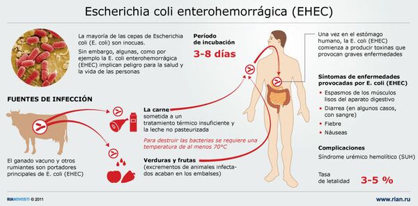 Escherichia coli enterohemorrágica (EHEC) - Sputnik Mundo
