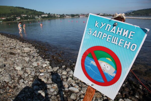 WWF rusa afirma que atención de bañistas y redes metálicas son la mejor protección contra tiburones - Sputnik Mundo