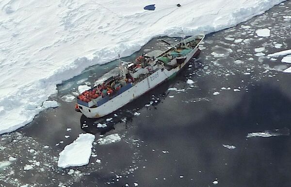 Rompehielos surcoreano libera a pesquero ruso atrapado entre hielos cerca de Antártida - Sputnik Mundo