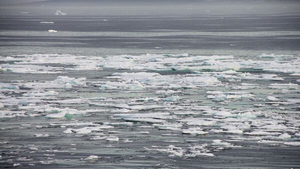 Experto advierte que el calentamiento del Ártico puede liberar nuevas infecciones - Sputnik Mundo