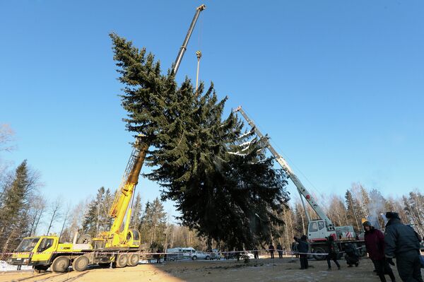 El árbol de Año Nuevo más importante de Rusia - Sputnik Mundo