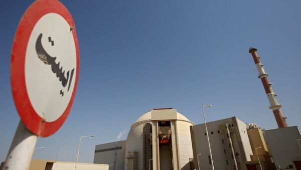Técnicos de Irán asumen el control de central nuclear de Bushehr - Sputnik Mundo