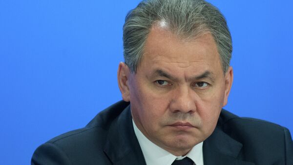 El ministro ruso de Defensa Serguéi Shoigú - Sputnik Mundo