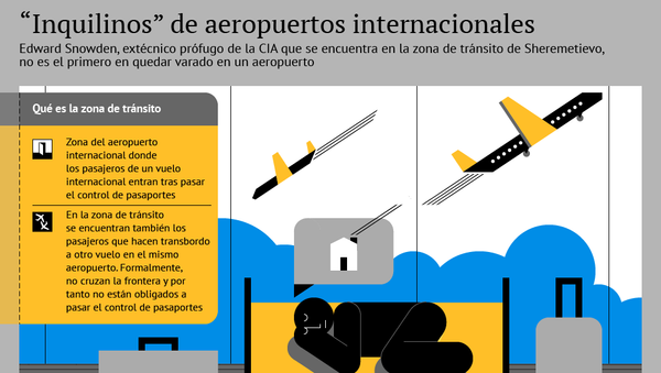 “Inquilinos” de aeropuertos internacionales - Sputnik Mundo