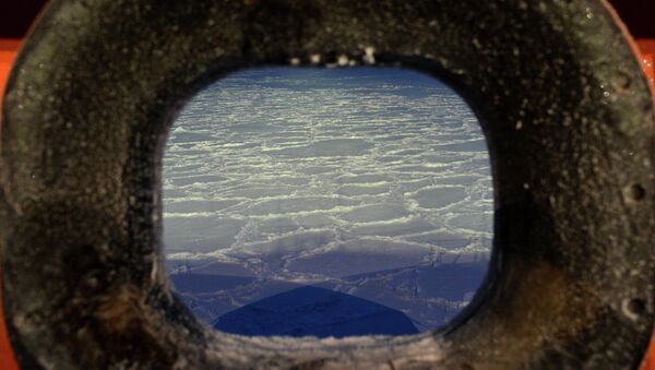 Una expedición al océano Ártico (archivo) - Sputnik Mundo