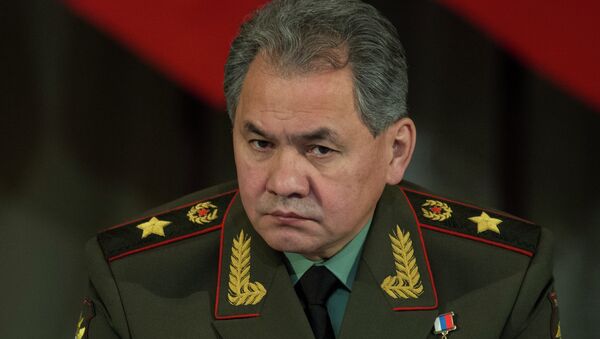 Serguéi Shoigú, el ministro de Defensa de Rusia - Sputnik Mundo