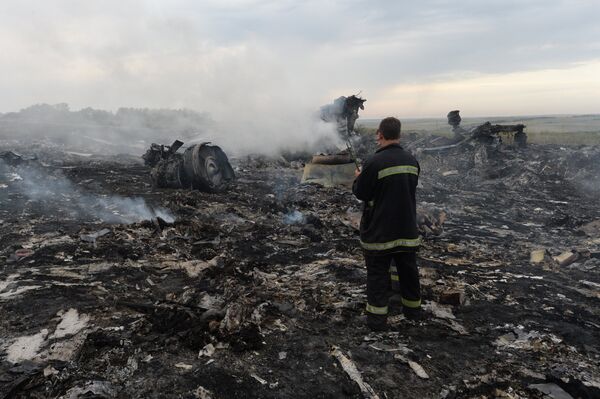 Los restos del avión malasio accidentado en el este de Ucrania - Sputnik Mundo