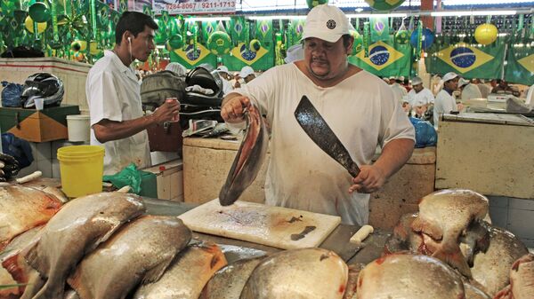 Rusia empezará a importar queso y pescado de Brasil - Sputnik Mundo