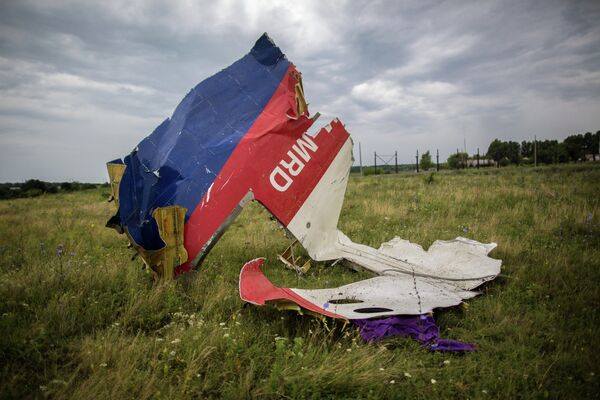 El vuelo MH17: «Es posible que nunca sepamos que ocurrió» - Sputnik Mundo