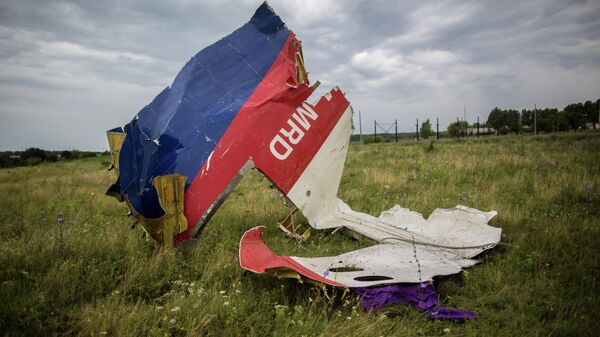 Los restos del Boeing 777 malasio derribado en Donbás - Sputnik Mundo