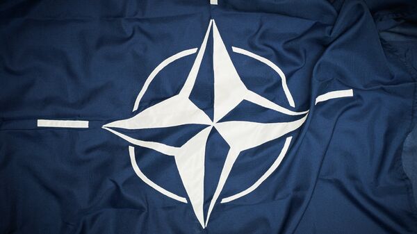 La OTAN descarta toda confrontación con Rusia, según su portavoz - Sputnik Mundo