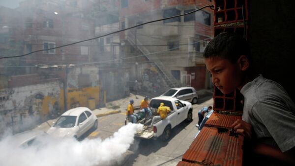 Fumigación para ayudar a controlar la propagación de Chikungunya - Sputnik Mundo