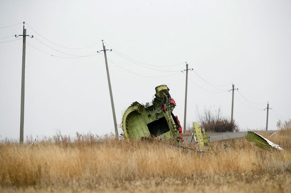 Es probable que nunca se hallen los restos mortales de todos los pasajeros del MH17 - Sputnik Mundo