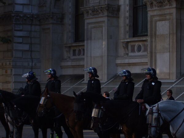 Policía de Londres refuerza medidas de seguridad tras posibles atentados contra la Reina - Sputnik Mundo