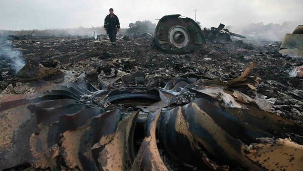 An Emergencies Ministry member walks at a site of a Malaysia Airlines Boeing 777 plane crash near the settlement of Grabovo in the Donetsk region, in this July 17, 2014 file photo. - Sputnik Mundo