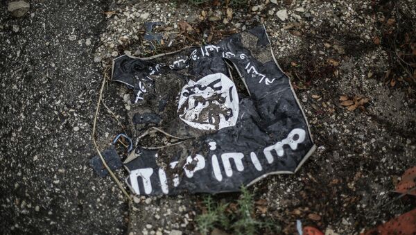 The flag of the radical Islamist organization Islamic State of Iraq. - Sputnik Mundo