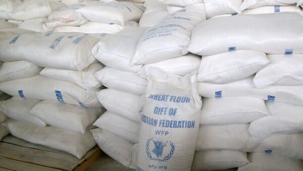 La ONU aplaude la ayuda rusa a Ucrania en el marco del Programa Mundial de Alimentos - Sputnik Mundo